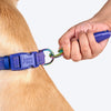 Dash Dog Dotty Padded Collar For Dog - Purple - Heads Up For Tails