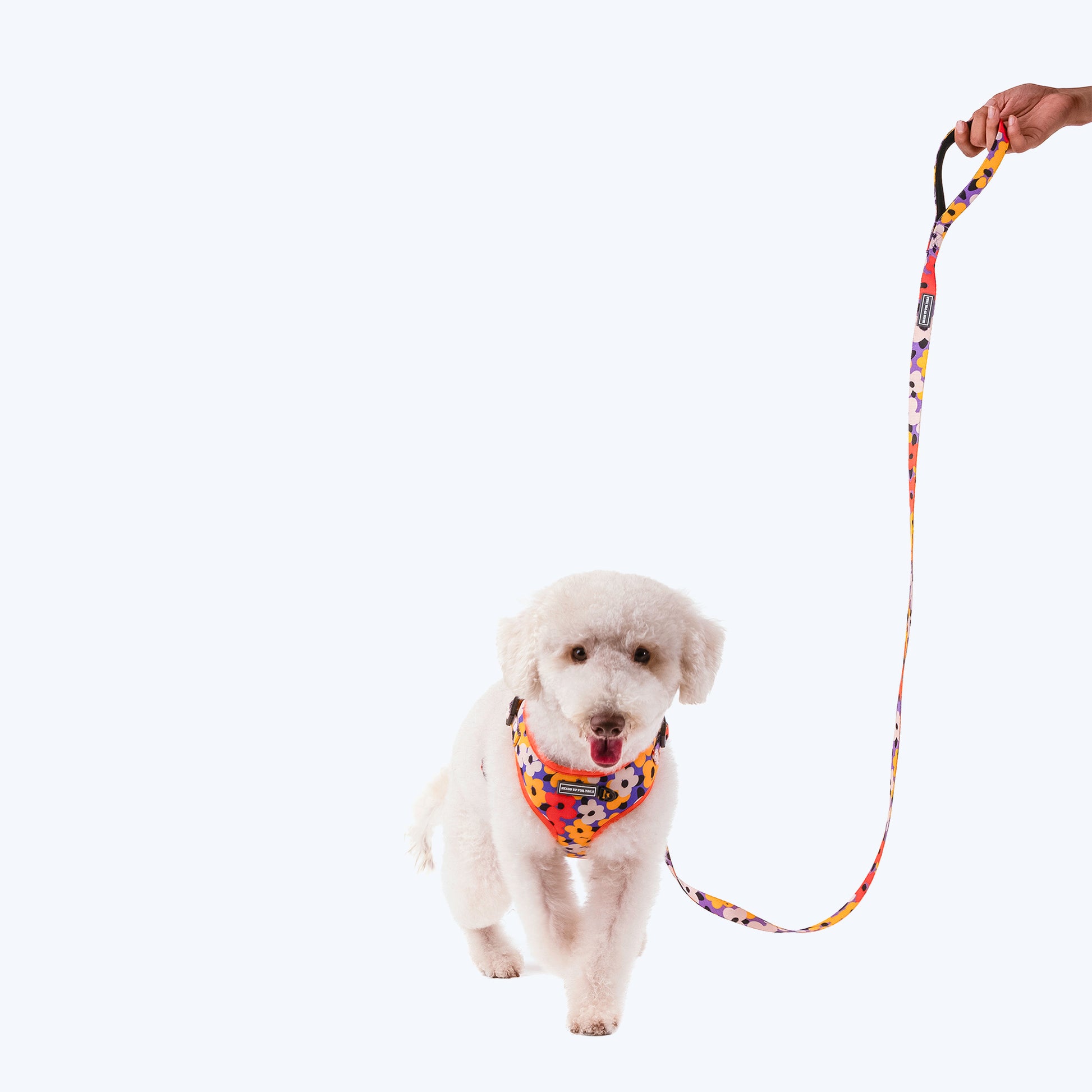 HUFT Misfit Meadow Printed Dog Leash - Purple_07