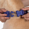 Dash Dog Dotty Padded Collar For Dog - Purple - Heads Up For Tails