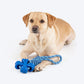 Dash Dog Power Tugger Rope Toy For Dog - Navy Blue & Turquoise_02