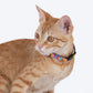 HUFT Meowvelous Cat Collar - Multicolour - Heads Up For Tails