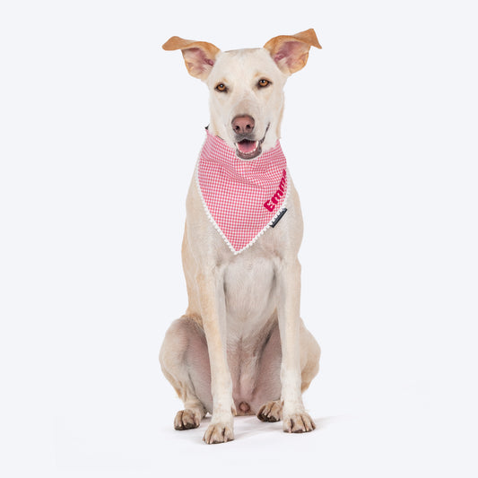 HUFT Personalised Gingham Checks Dog Bandana - Pink_01