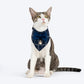 HUFT Tinsel Tails Scarf For Cat & Puppy - Royal Blue