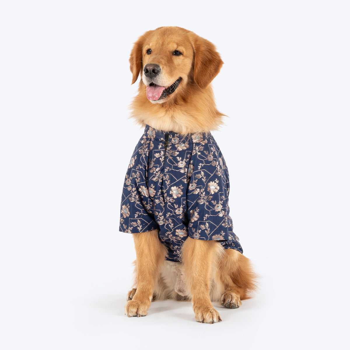 HUFT Customised Neelbagh Brocade Sherwani For Dog & Cat - Navy Blue