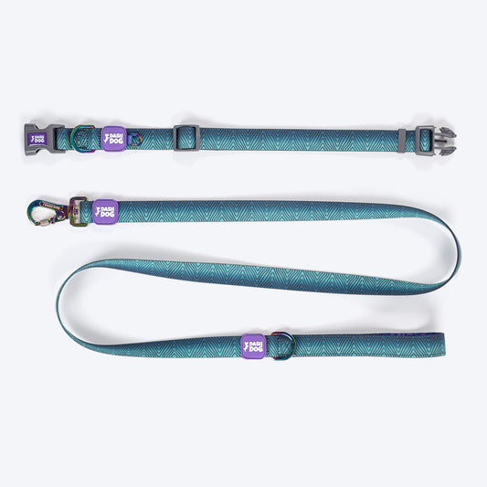 Dash Dog Trail Tails Waterproof Dog Collar & Leash Set - Blue