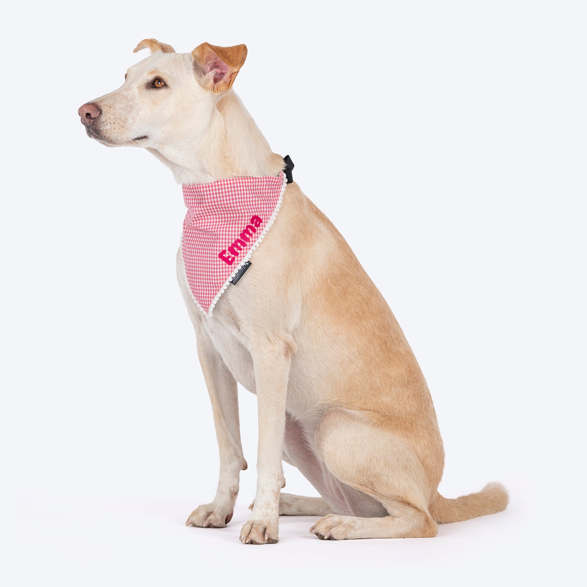 HUFT Personalised Gingham Checks Dog Bandana - Pink_03