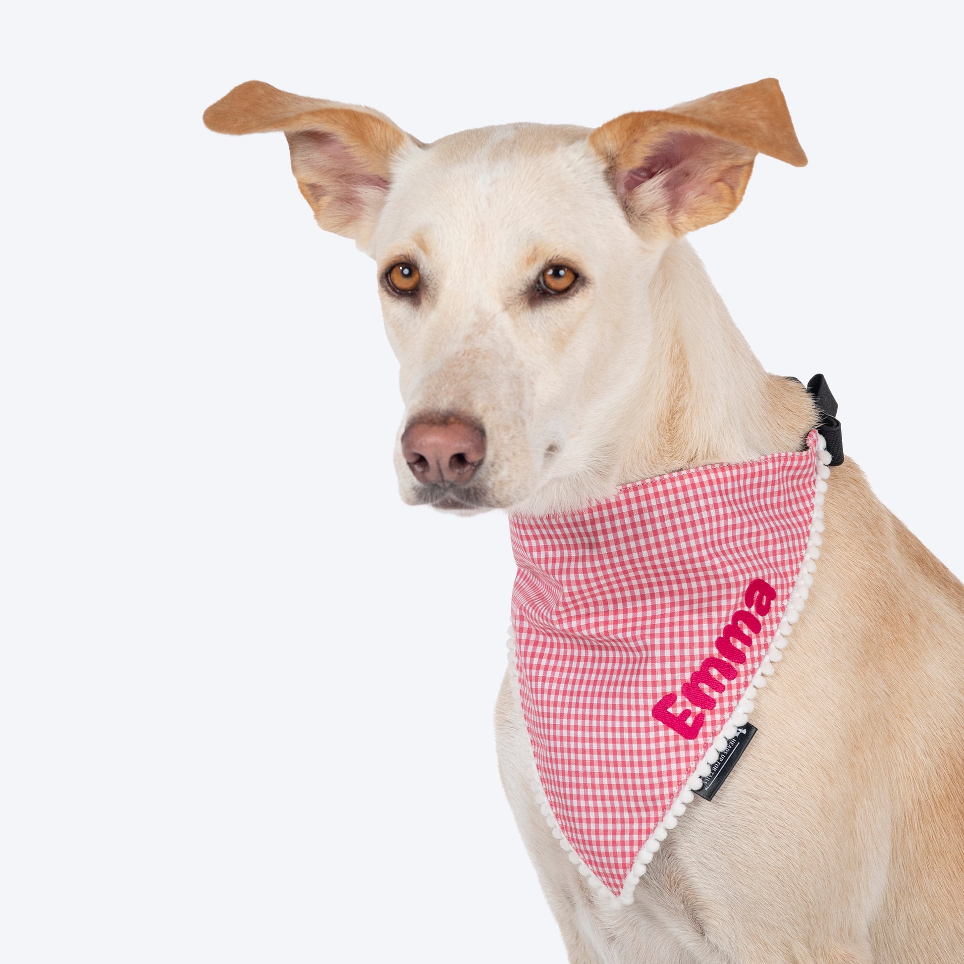 HUFT Personalised Gingham Checks Dog Bandana - Pink_02