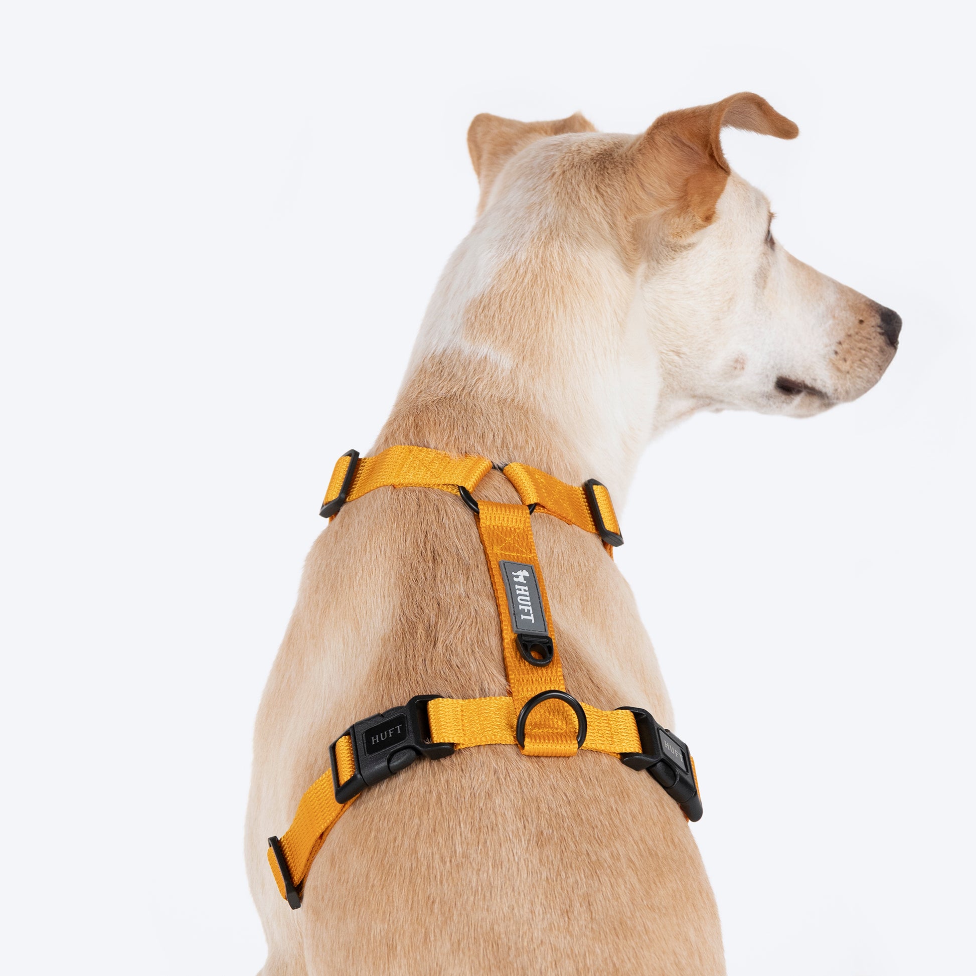 HUFT Basics Dog H-Harness - Yellow & Blue - Heads Up For Tails