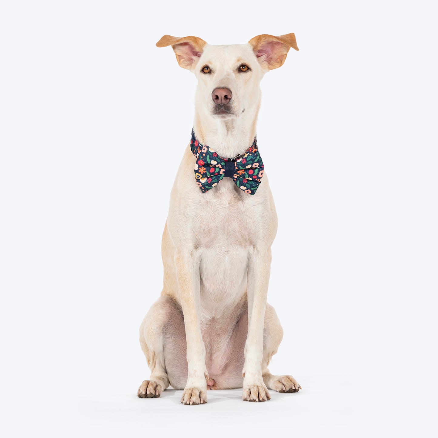 HUFT Personalised Floral Fusion Fabric Collar With Free Bow Tie For Dog - Ink Blue