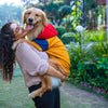 HUFT Colour Block Hoodie Pet Sweatshirt - Mustard - Heads Up For Tails
