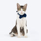 HUFT Merry Meowments Bow Tie With Strap For Cat - Royal Blue