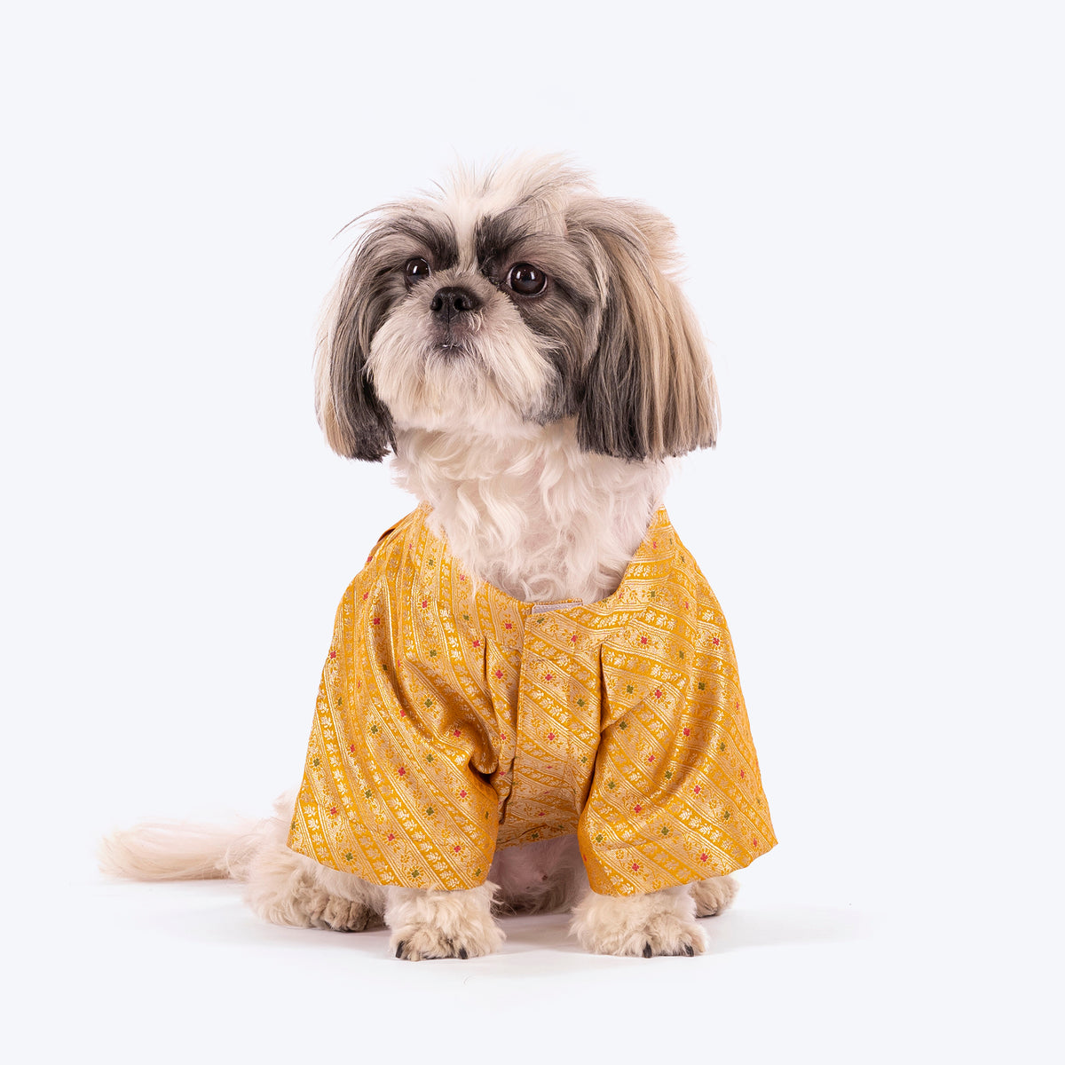 HUFT Customised Golden Radiance Sherwani For Dog & Cat - Yellow