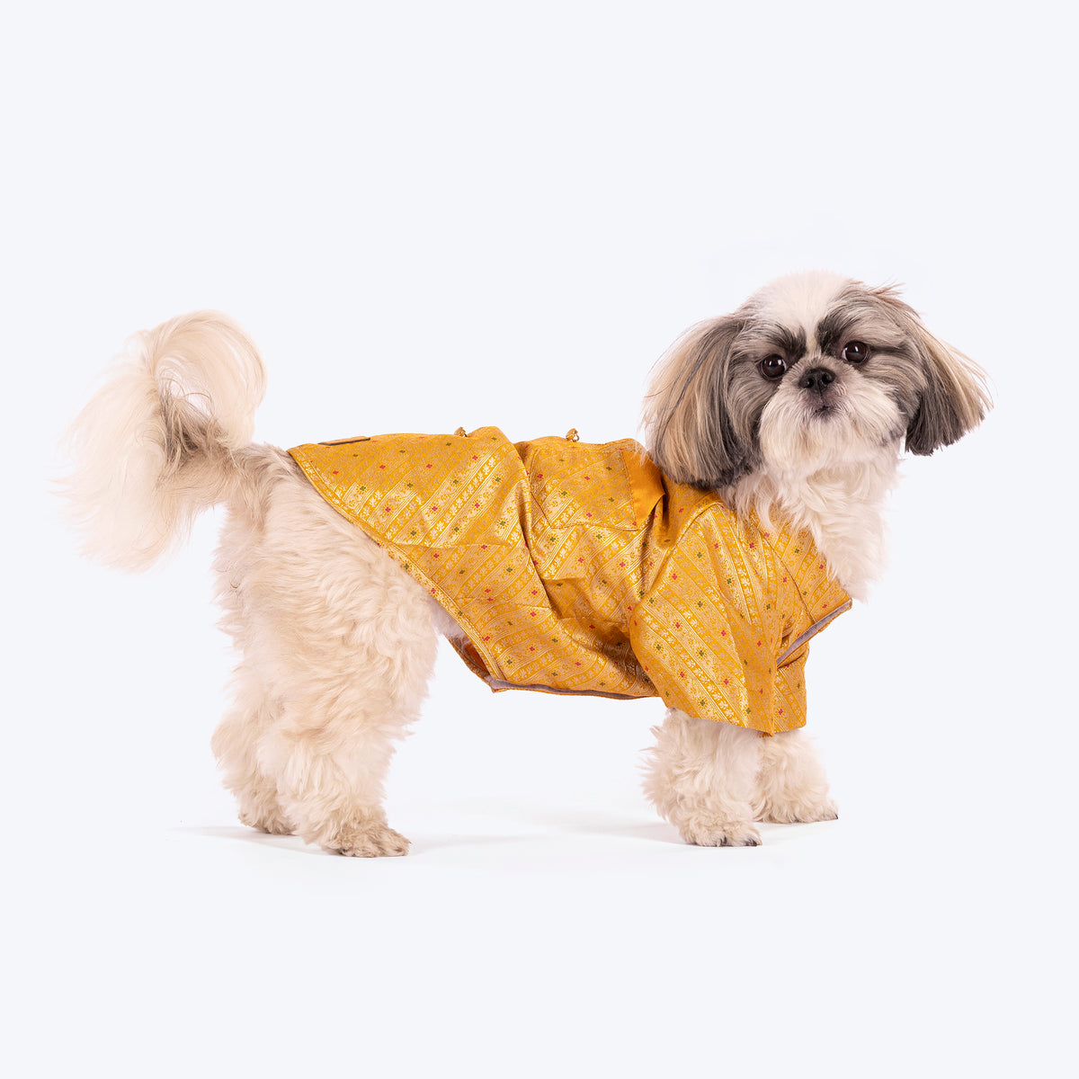 HUFT Customised Golden Radiance Sherwani For Dog & Cat - Yellow