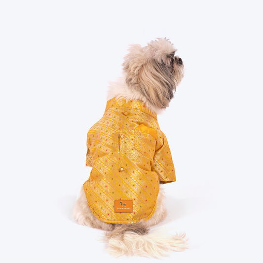 HUFT Customised Golden Radiance Sherwani For Dog & Cat - Yellow - Heads Up For Tails