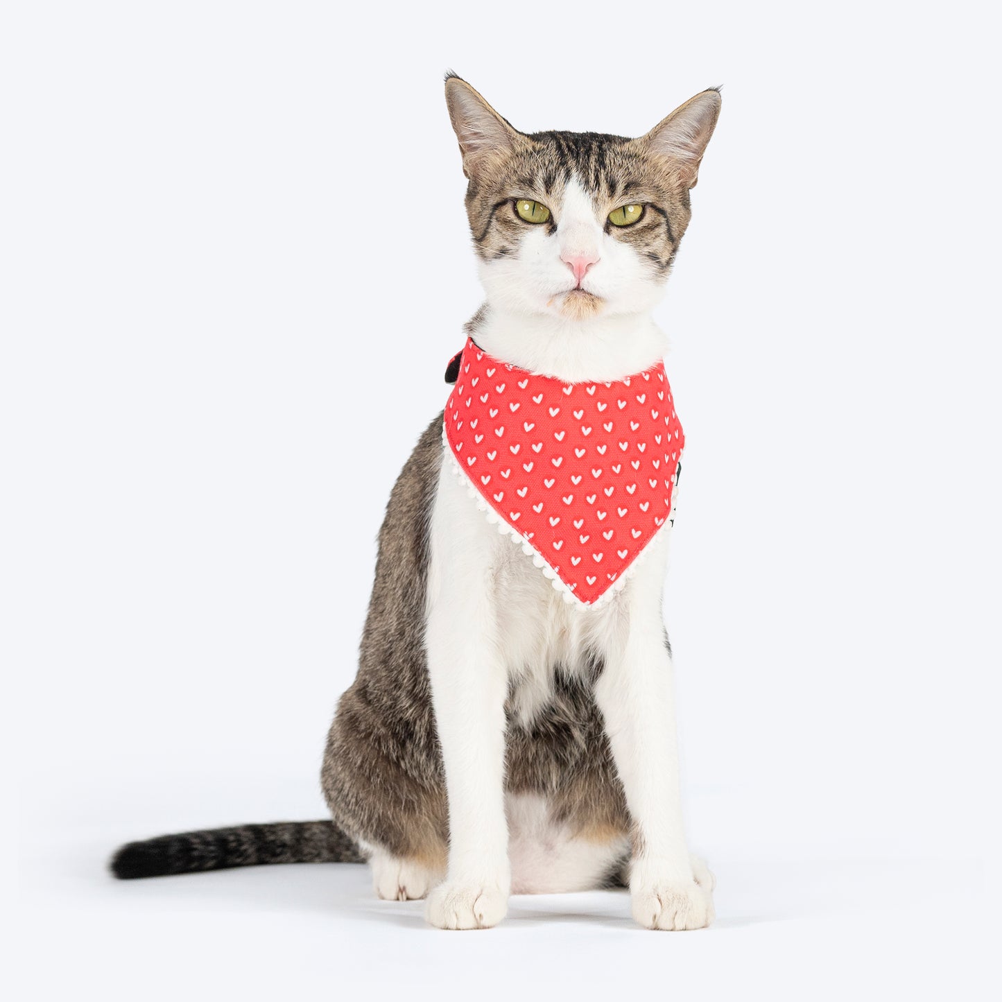 HUFT Heartstrings Printed Scarf For Cat & Puppy - Red_02