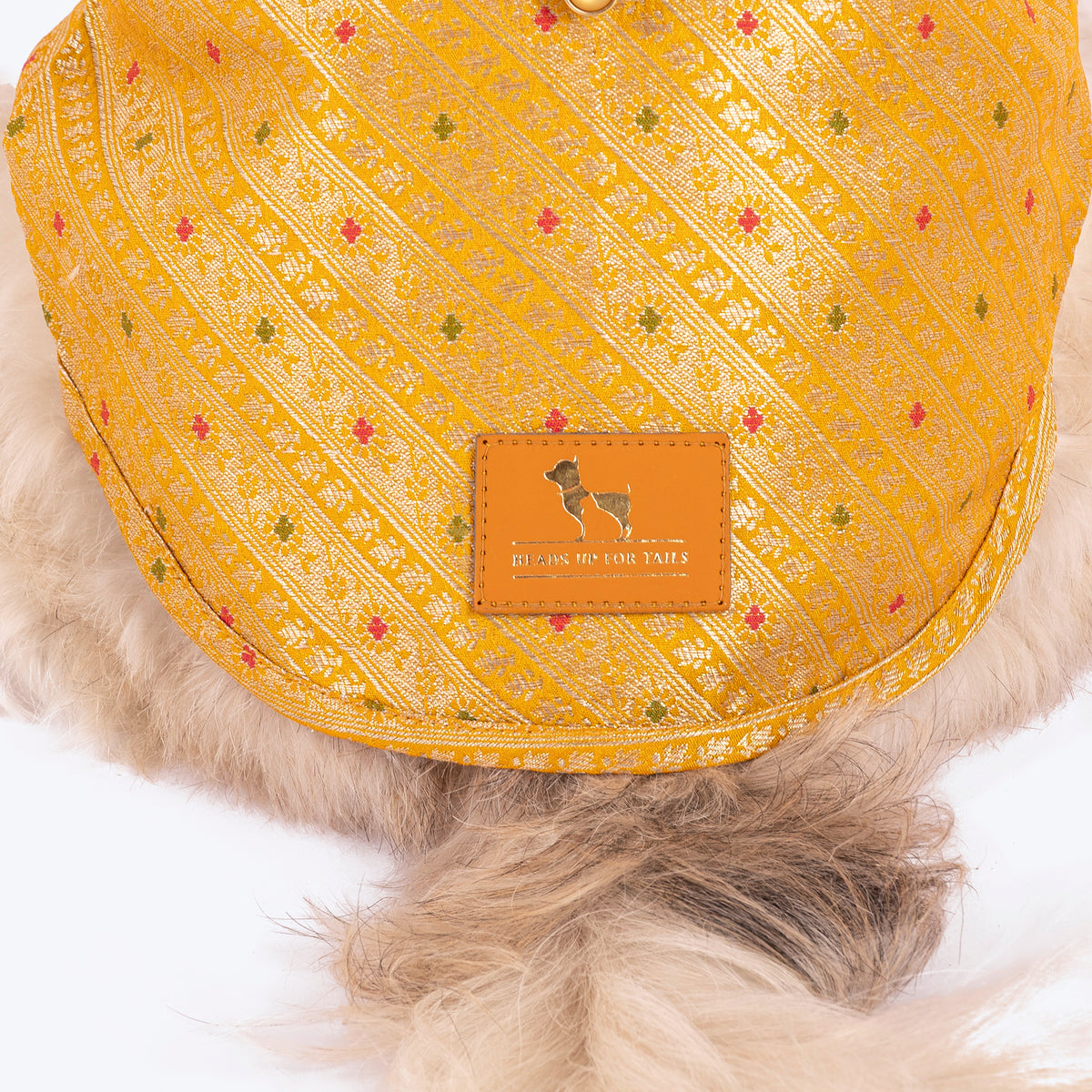 HUFT Customised Golden Radiance Sherwani For Dog & Cat - Yellow