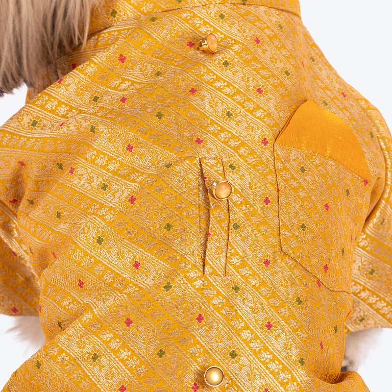 HUFT Customised Golden Radiance Sherwani For Dog & Cat - Yellow