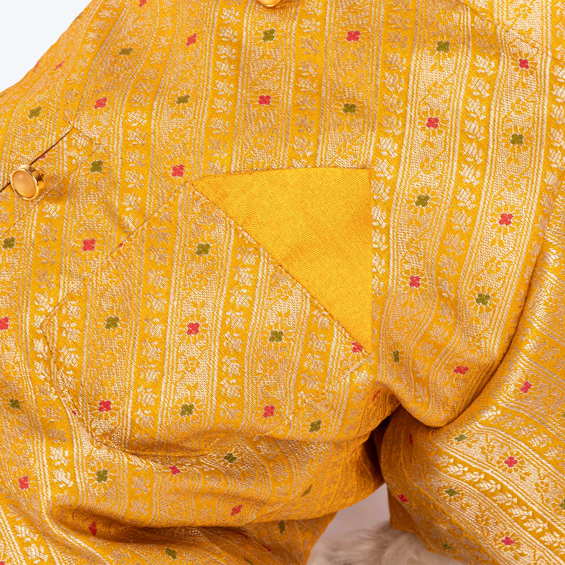 HUFT Customised Golden Radiance Sherwani For Dog & Cat - Yellow
