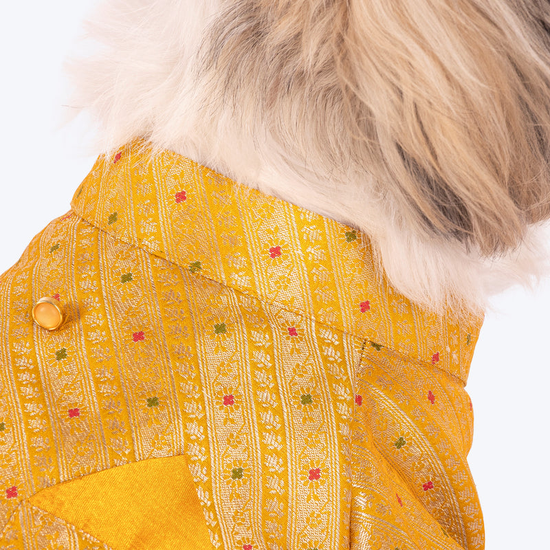 HUFT Customised Golden Radiance Sherwani For Dog & Cat - Yellow