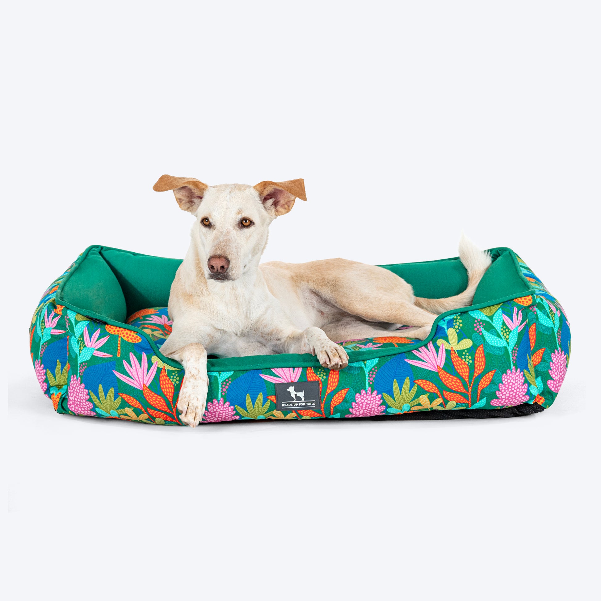 HUFT Rainbow Grove Personalised Lounger Bed For Dog - Dark Green - Heads Up For Tails