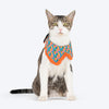 HUFT Bloomburst Printed Scarf For Cat & Puppy - Multicolor_02
