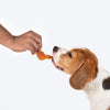 Sara's Doggie Treats Mango Chicken Jerky, 70 g, features high-protein, grain-free treats with natural ingredients.