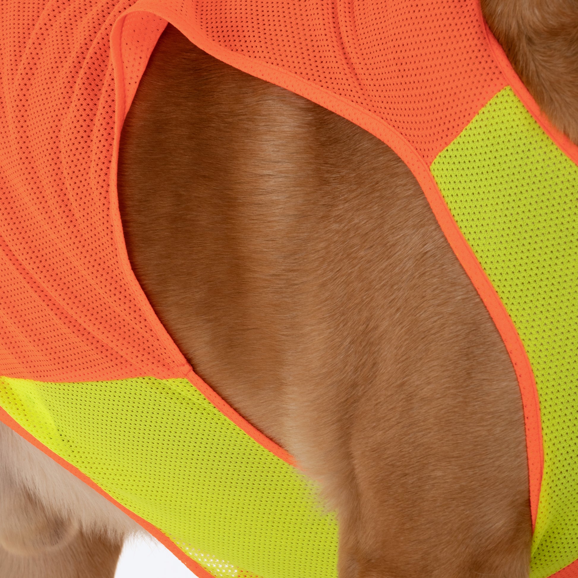 HUFT Neon Burst Vest For Dogs (Orange) - Heads Up For Tails