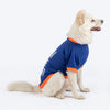 HUFT Born To Be Cuddled Printed T-Shirt For Dog - Navy Blue - Heads Up For Tails