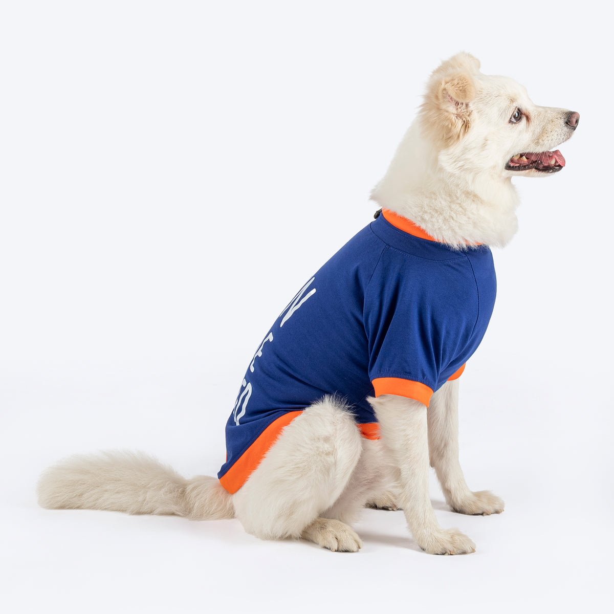 HUFT Born To Be Cuddled Printed T-Shirt For Dog - Navy Blue - Heads Up For Tails