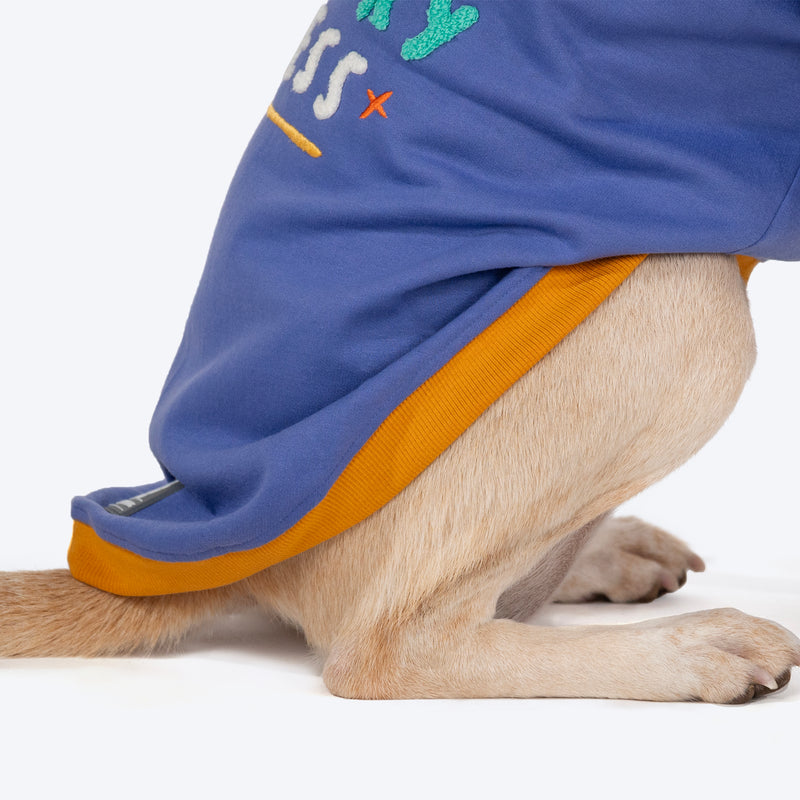 HUFT Wag More Worry Less Colour Block Hoodie Pet Sweatshirt - Blue - Heads Up For Tails