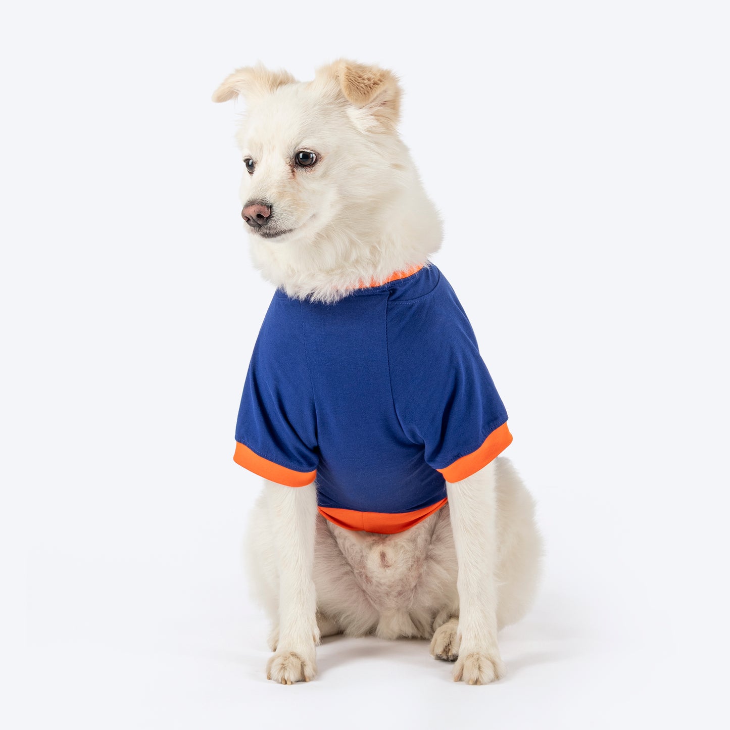 HUFT Born To Be Cuddled Printed T-Shirt For Dog - Navy Blue