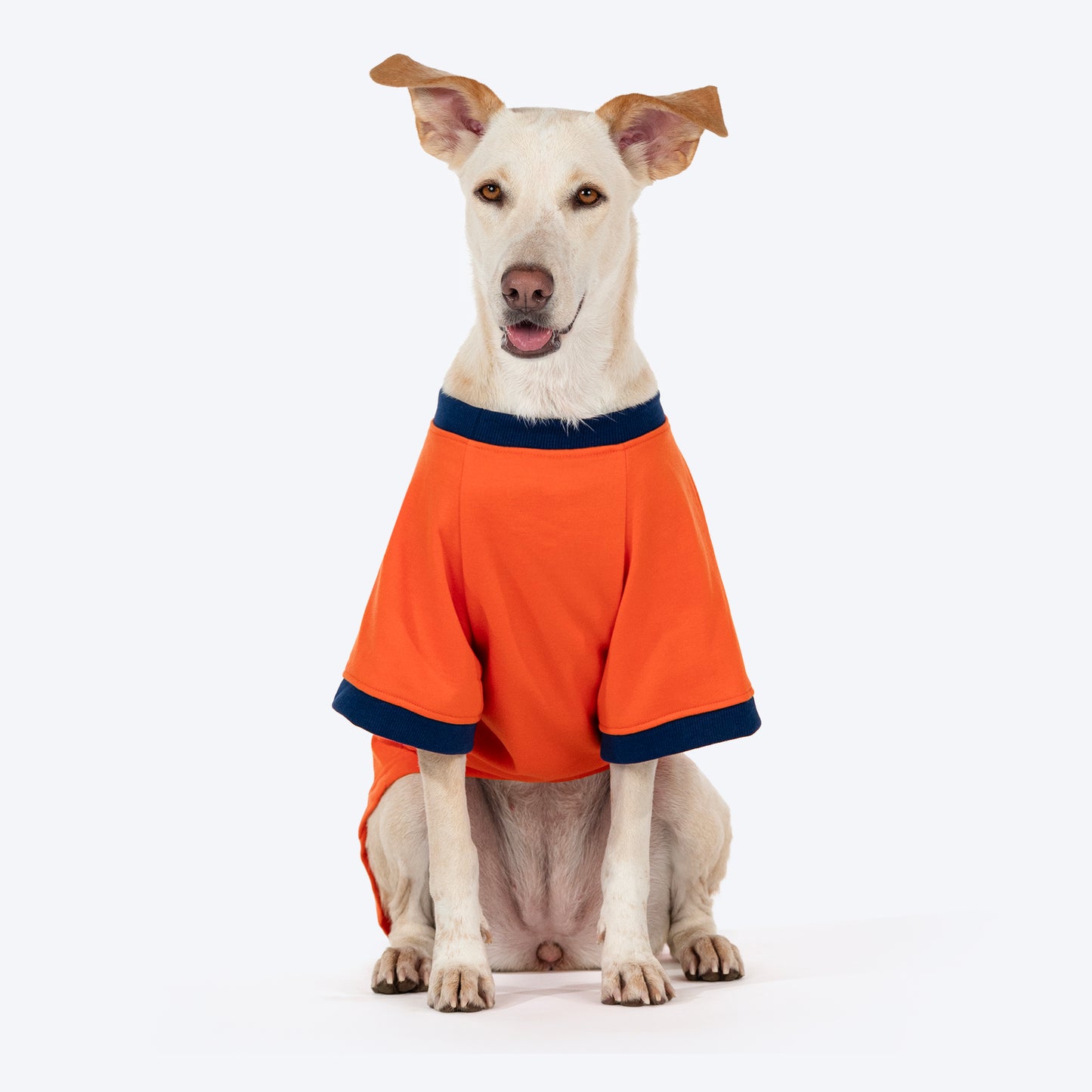 HUFT Good Doggo Pet Sweatshirt  - Orange