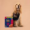 Sara's Wholesome Grain-Free Lamb and Apple Dog Food, 7 x 300g pack, made with 50% meat and 50% fruits and vegetables.