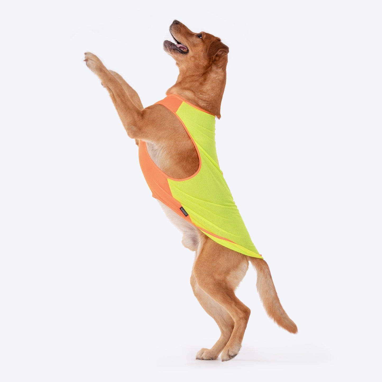 HUFT Neon Burst Vest For Dogs (Orange) - Heads Up For Tails