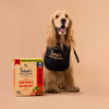 Sara's Wholesome Classic Chicken and Brown Rice Dog Food, 7 x 300g pack, made with farm-fresh ingredients.