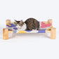 HUFT Elevated Cot Bed For Cat - Multicolor