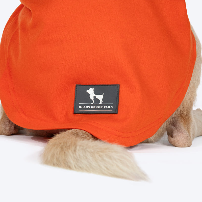 HUFT Good Doggo Pet Sweatshirt  - Orange - Heads Up For Tails