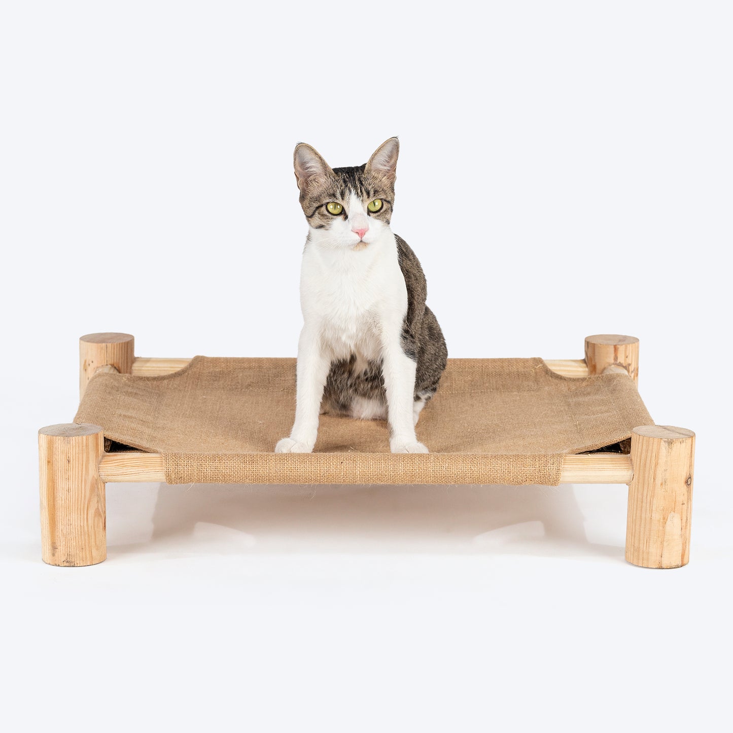 HUFT Elevated Cot Bed For Cat - Brown