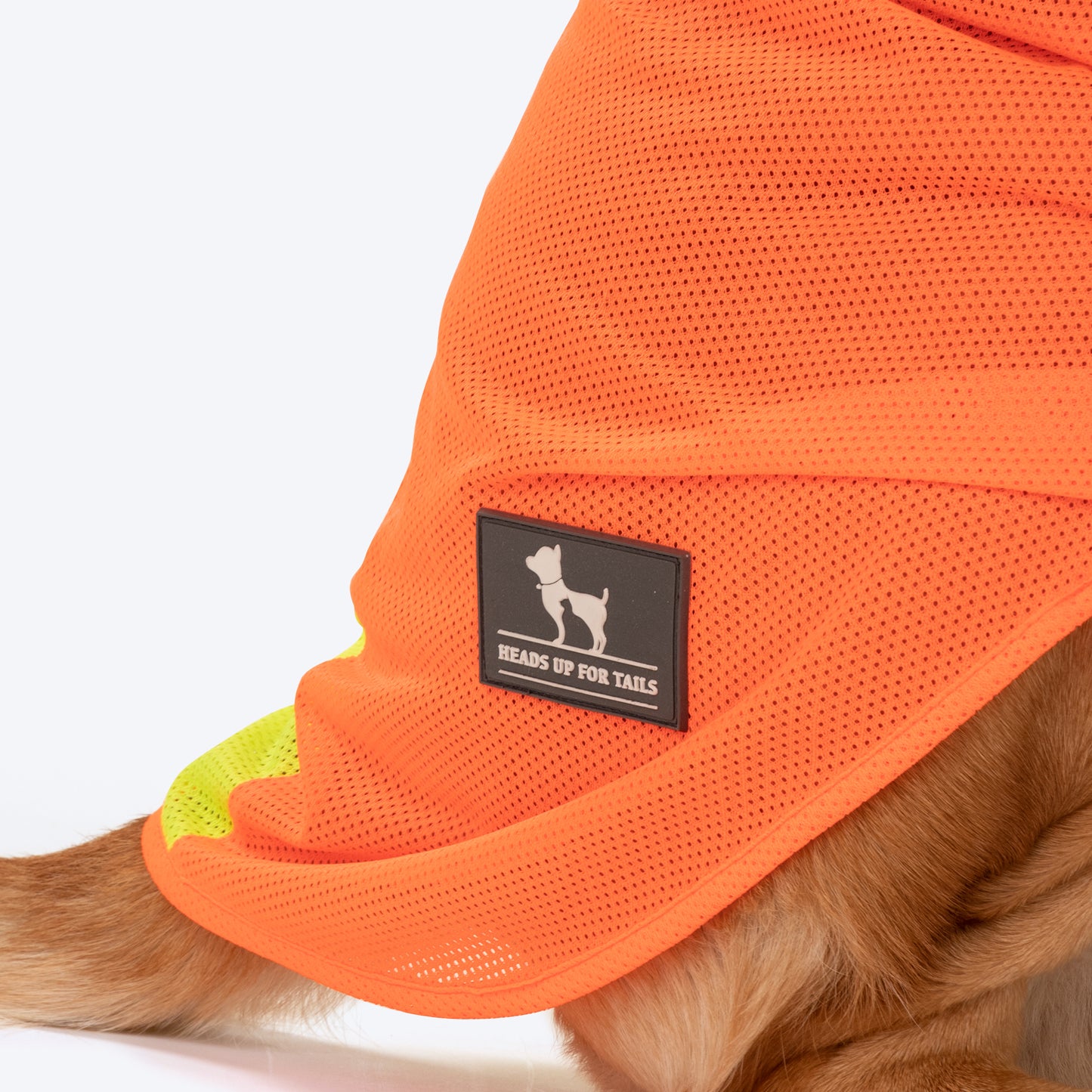 HUFT Neon Burst Vest For Dogs (Orange) - Heads Up For Tails