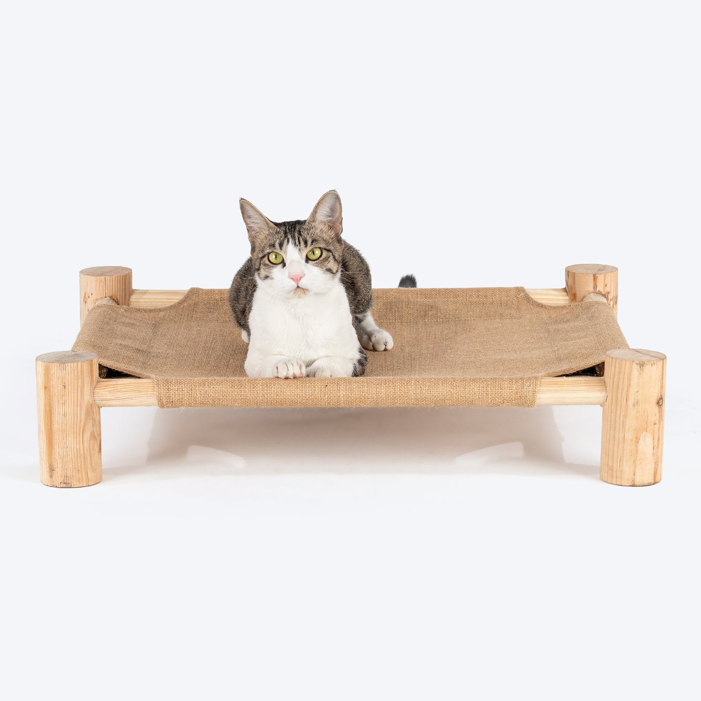 HUFT Elevated Cot Bed For Cat - Brown