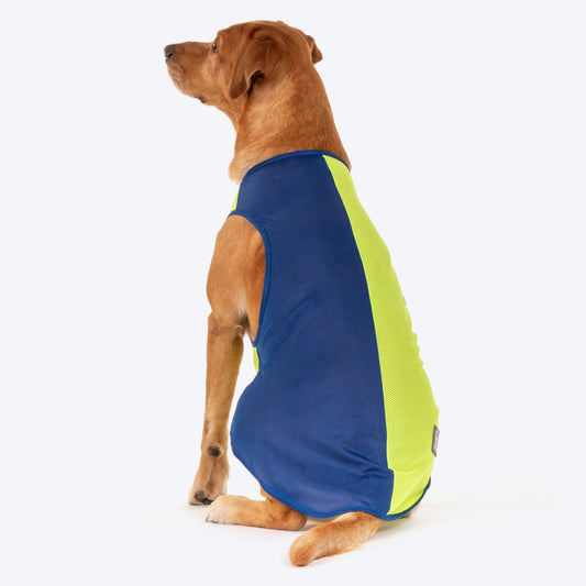 HUFT Neon Burst Vest For Dogs (Blue) - Heads Up For Tails