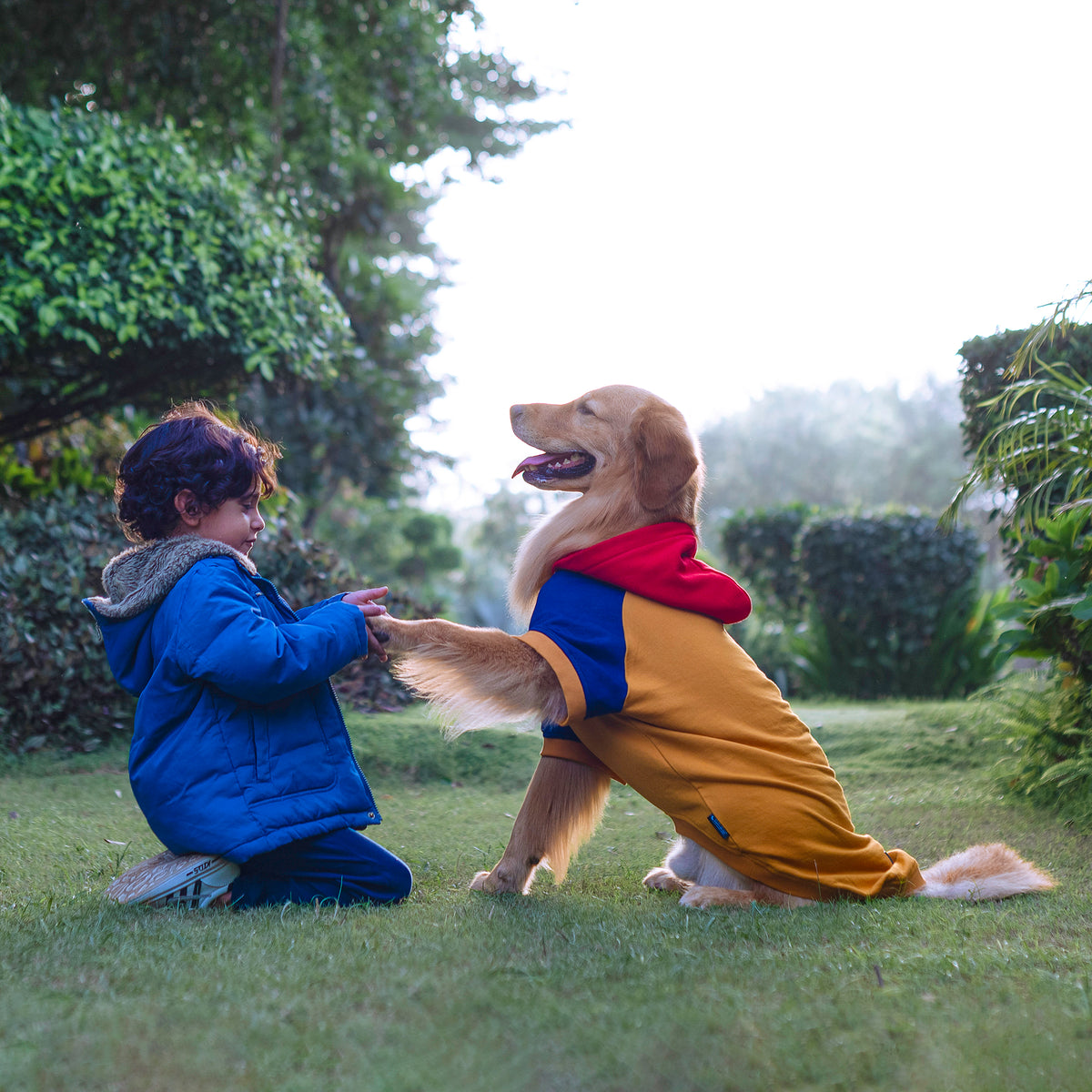 HUFT Colour Block Hoodie Pet Sweatshirt - Mustard - Heads Up For Tails
