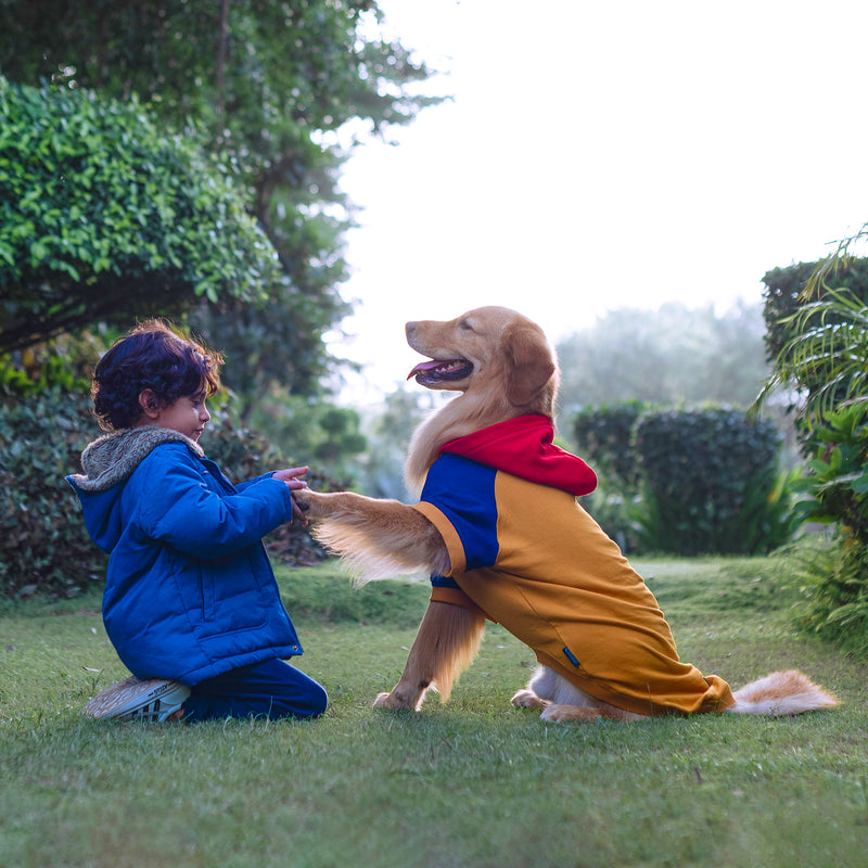 HUFT Colour Block Hoodie Pet Sweatshirt - Mustard - Heads Up For Tails