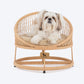 HUFT Purrfect Snuggle Elevated Bed With Cushion For Cat - Beige