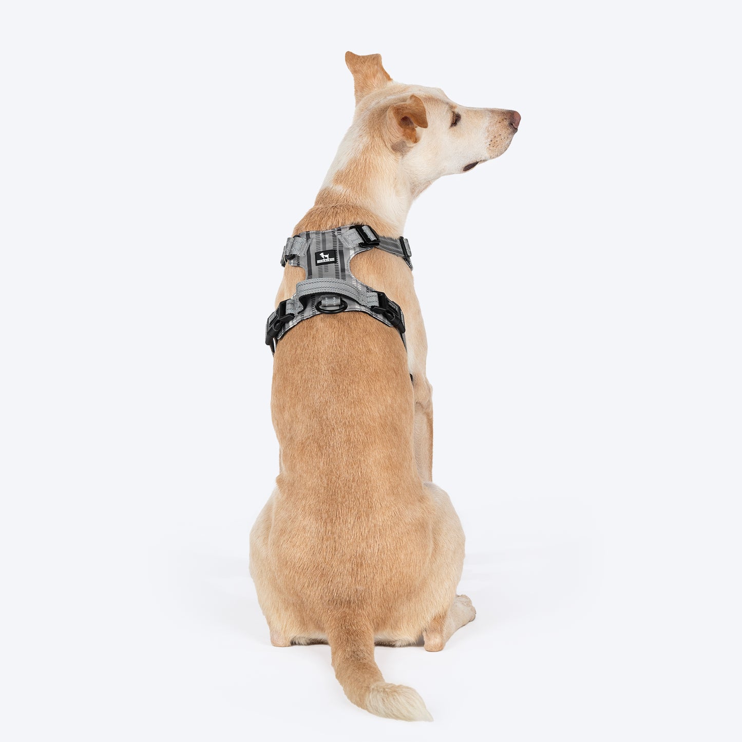 HUFT Walk Light Harness For Dog - Sterling Grey