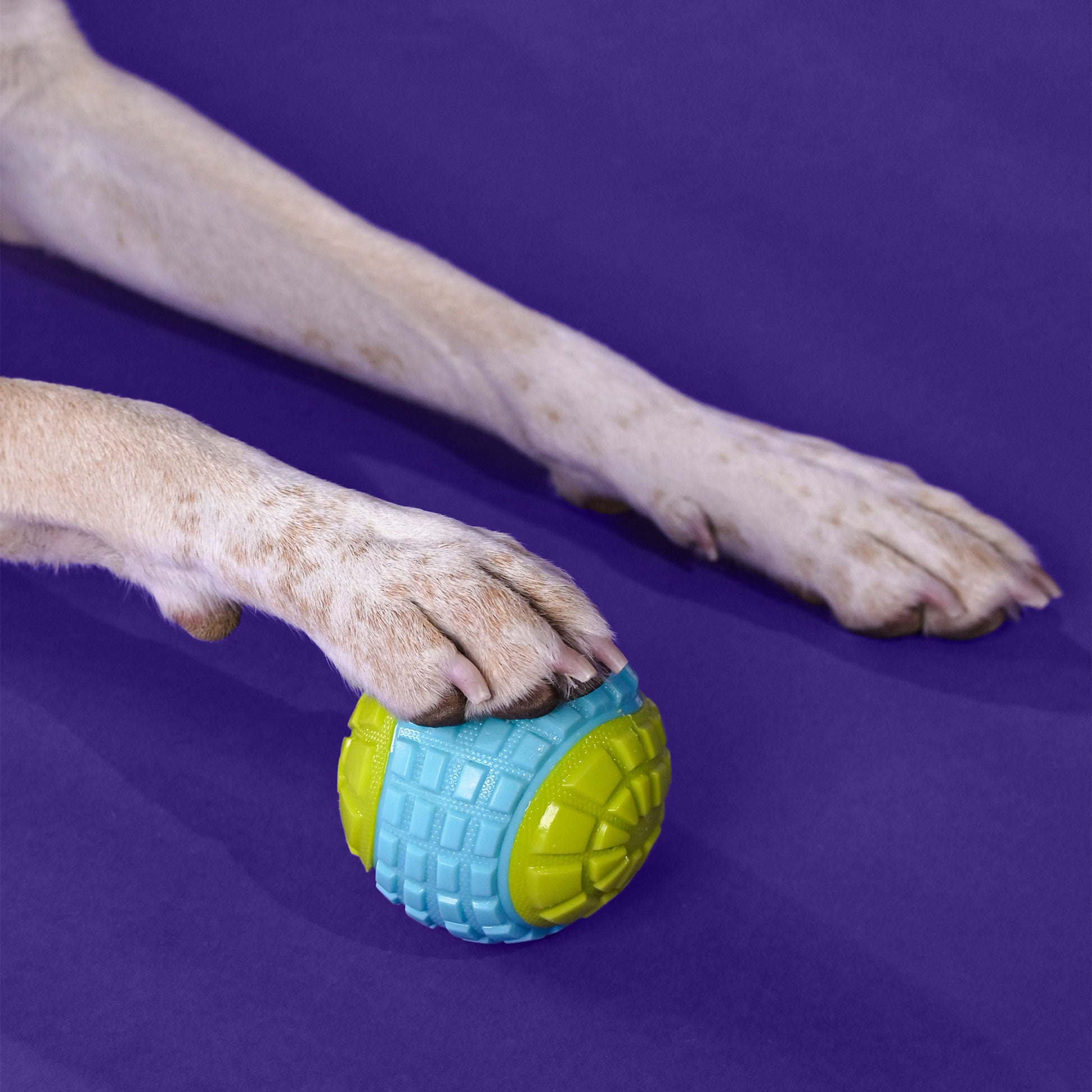 Dash Dog Squeaky Serve Tennis Ball Fetch Toy For Dog - Blue & Green - Heads Up For Tails