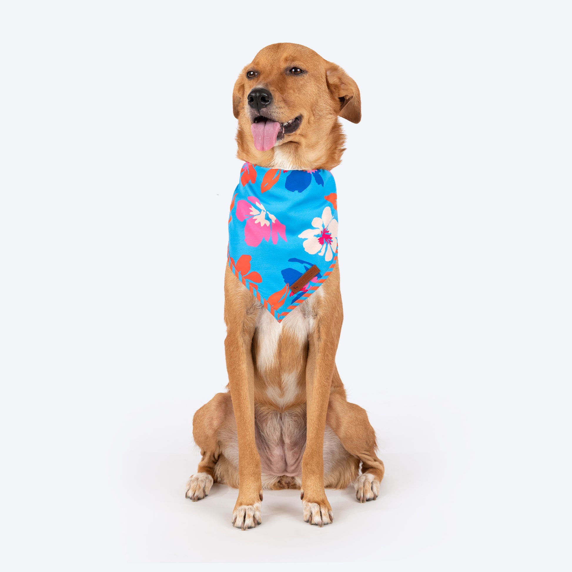 HUFT Summer Bloom Knot Bandana For Dog - Blue - Heads Up For Tails