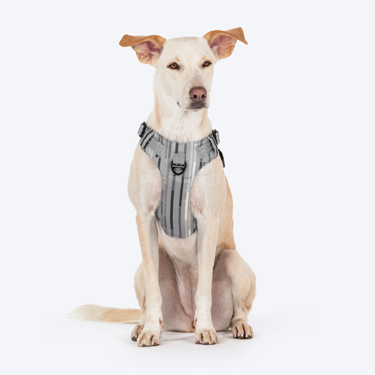 HUFT Walk Light Harness For Dog - Sterling Grey - Heads Up For Tails