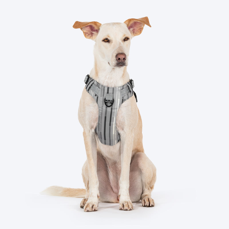 HUFT Walk Light Harness For Dog - Sterling Grey - Heads Up For Tails