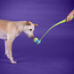 Dash Dog Paw Speed Launcher Interactive Toy For Dog - Heads Up For Tails